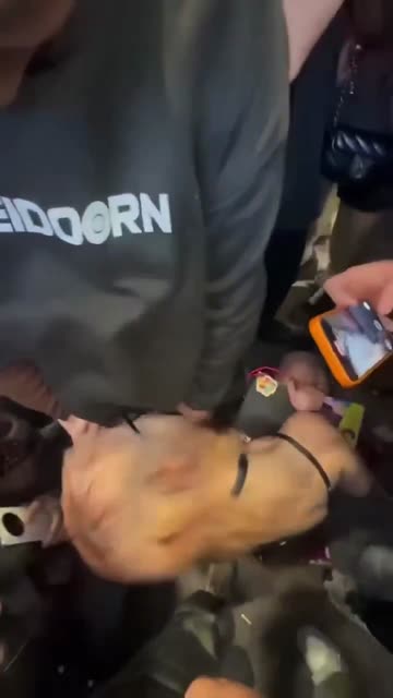 spong di publik vrals