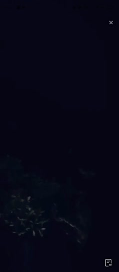 Lisa Prank Ojol_20251217_021528